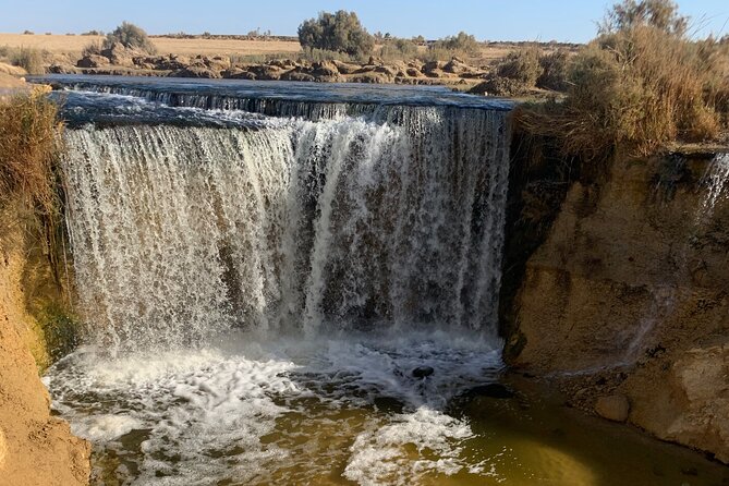 From Cairo: Desert Safari, Waterfalls, Sand boarding and Camel ride with Lunch - Guides can make or break the day
