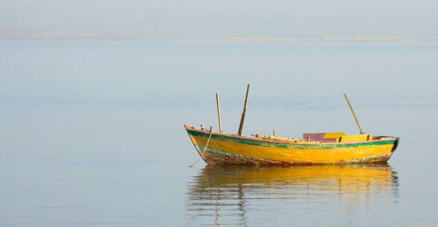 From Cairo: Fayoum Oasis and Wadi Al Rayan Guided Tour - Who should choose this Fayoum outing?