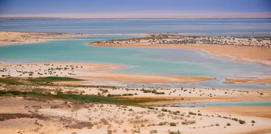 From Cairo: Fayoum Oasis and Wadi Al Rayan Guided Tour - Wadi Al Rayan’s lakes, springs, and waterfall