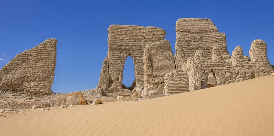 From Cairo: Fayoum Oasis and Wadi Al Rayan Guided Tour - Guides, languages, and the value of the explanation