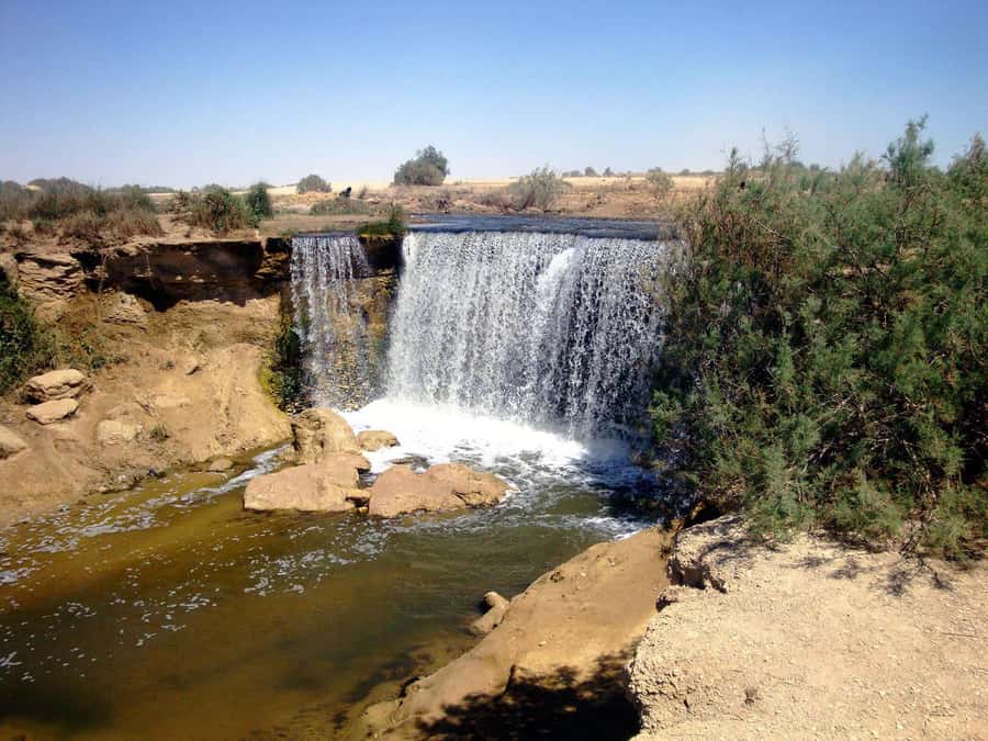 From Cairo: Full-Day Tour to El Fayoum - Key points to know before you book
