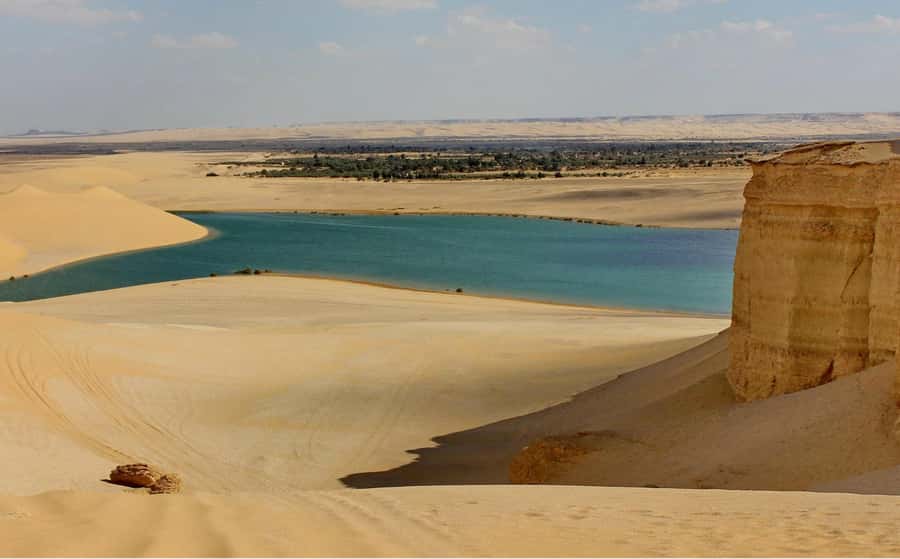 From Cairo: Full-Day Tour to El Fayoum - Qarun Lake and the older story of Fayoum