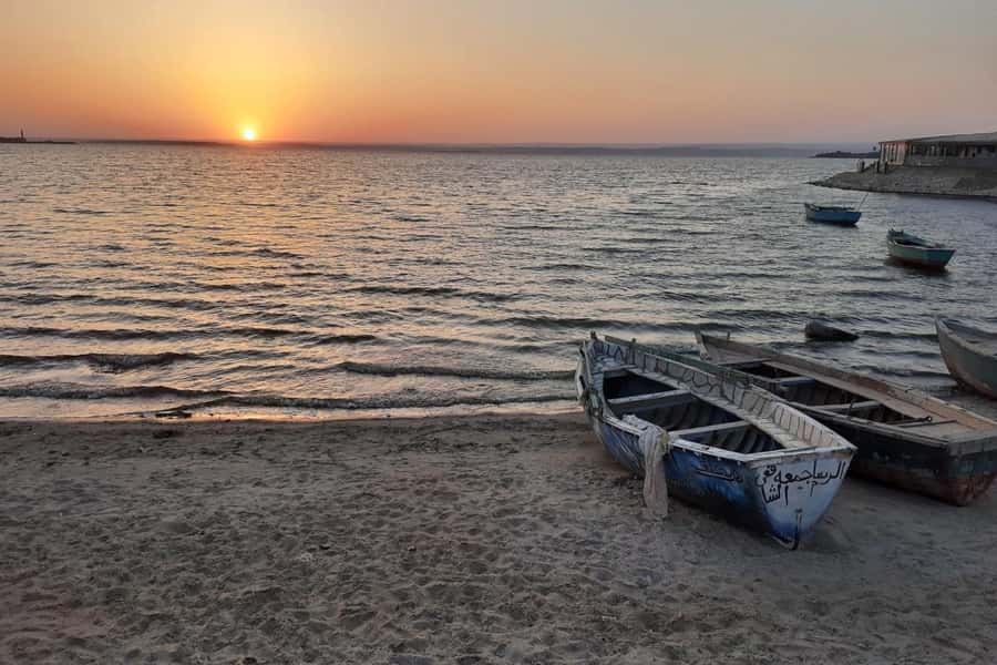 From Cairo: Full-Day Tour to El Fayoum - Switching to a 4x4 for Wadi El Hitan
