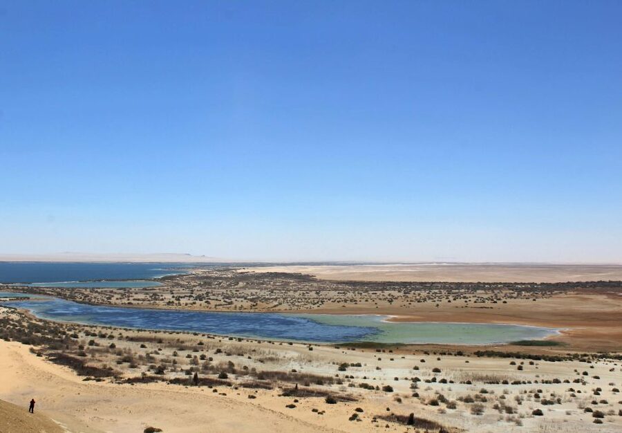 From Cairo: Full-Day Tour to El Fayoum - Lunch at the desert camp