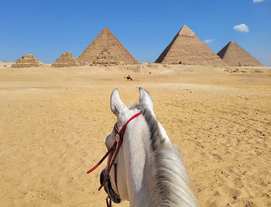 From Cairo or Giza: Giza Pyramids and Sphinx Private Tour - Who should book this Giza tour?
