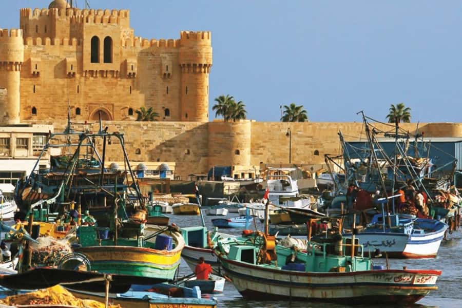From Cairo: Private Full-Day Tour of Historical Alexandria - Why Alexandria is worth the long road from Cairo