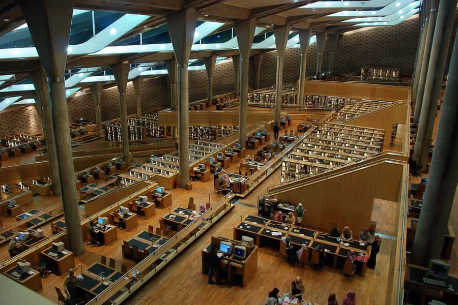 From Cairo: Private Full-Day Tour of Historical Alexandria - The Library of Alexandria and the Friday catch