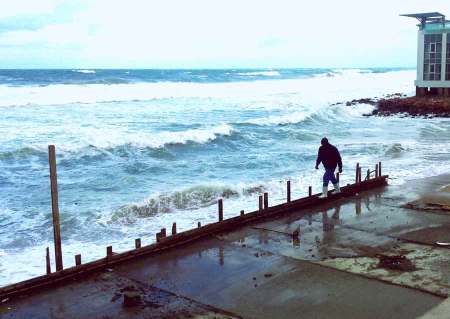 From Cairo: Private Luxurious Day Trip to Alexandria - The 137-mile ride from Cairo