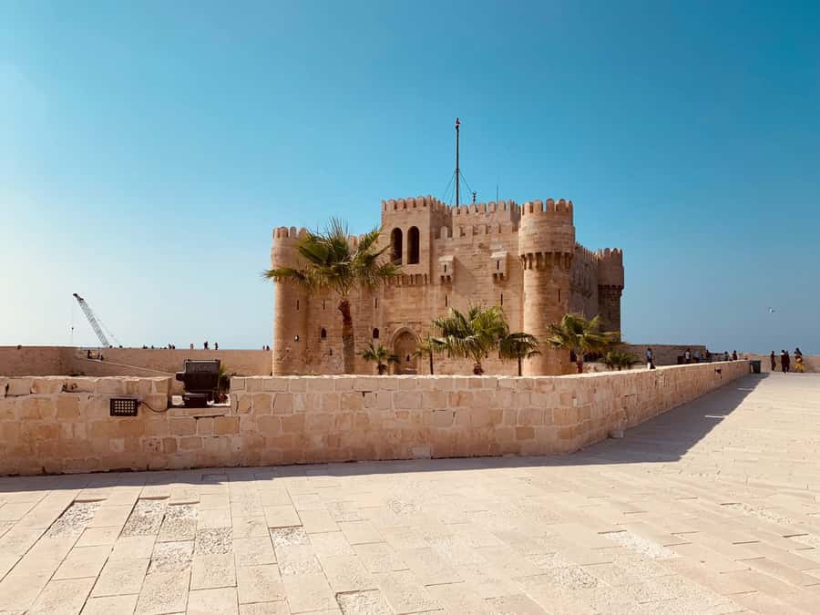 From Cairo: Private Luxurious Day Trip to Alexandria - Pompey’s Pillar and the Serapeum