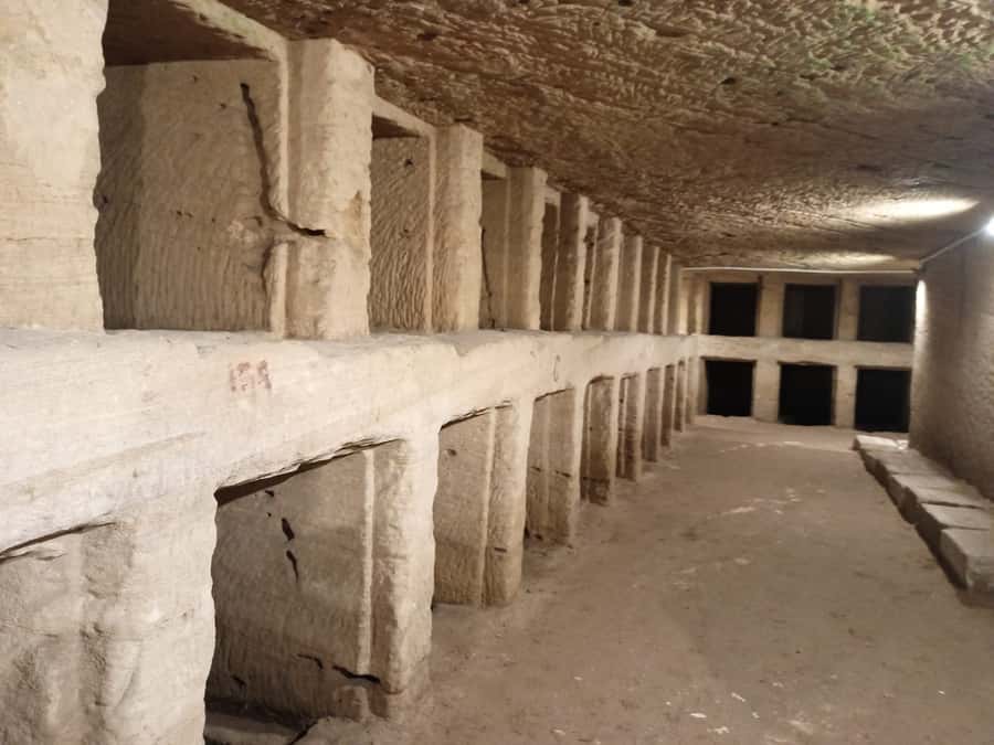 From Cairo: Private Luxurious Day Trip to Alexandria - What the private format really adds