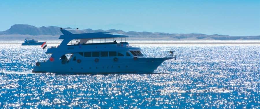 From Cairo: Snorkeling Trip on Yacht with Lunch - What the snorkeling is really like
