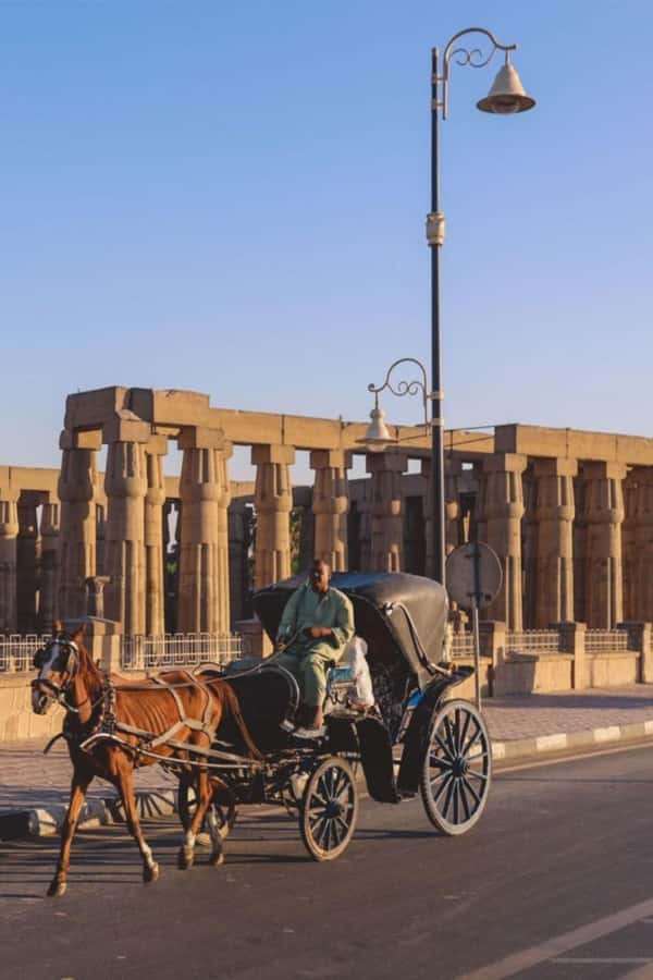 From Cairo: Trip to Luxor By Flight and King Tut Tomb Visit - Who this Luxor flight tour suits best
