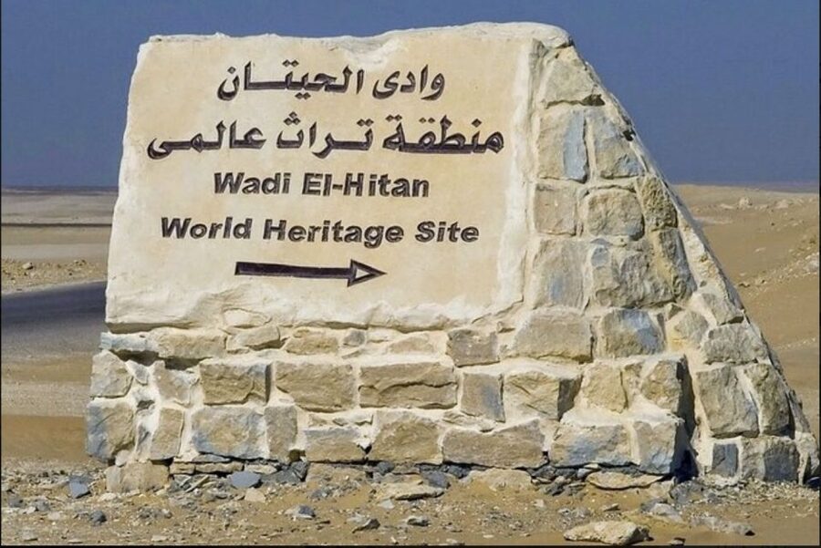 From Cairo: Whale Valley and Wadi El Rayan Waterfalls Tour - Key points to know before you book