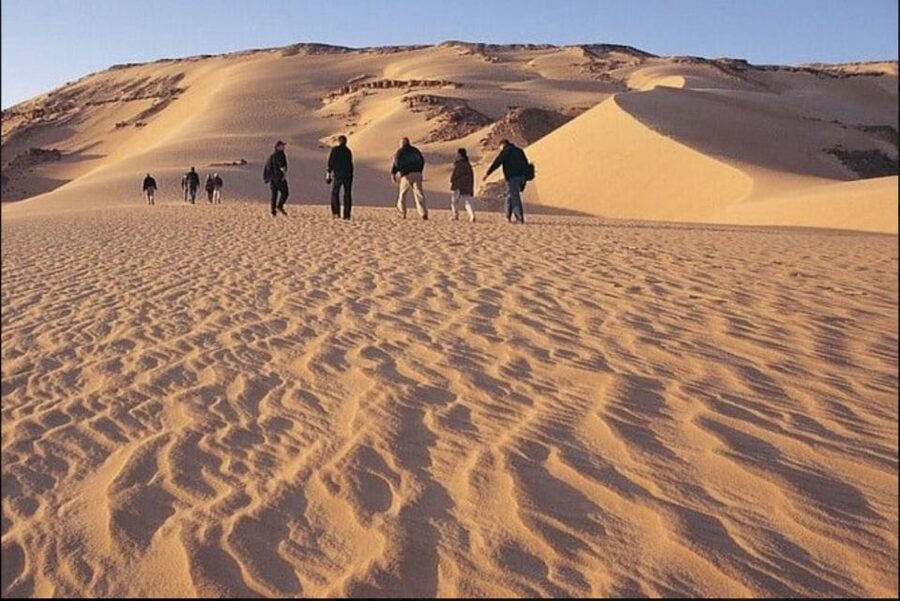 From Cairo: Whale Valley and Wadi El Rayan Waterfalls Tour - Why this makes a good escape from Cairo