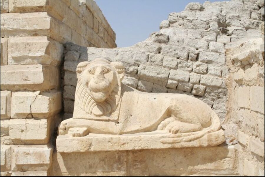 From Cairo: Whale Valley and Wadi El Rayan Waterfalls Tour - Qarun Lake, an ancient stretch of salt water