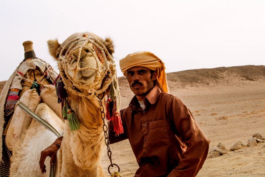 From El Gouna: Dry Canyon Quad Bike Morning Tour - Key points at a glance