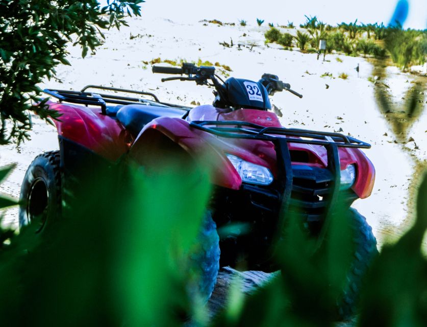 From El Gouna: Dry Canyon Quad Bike Morning Tour - Stop two: Wadi Billy and its fossil clues