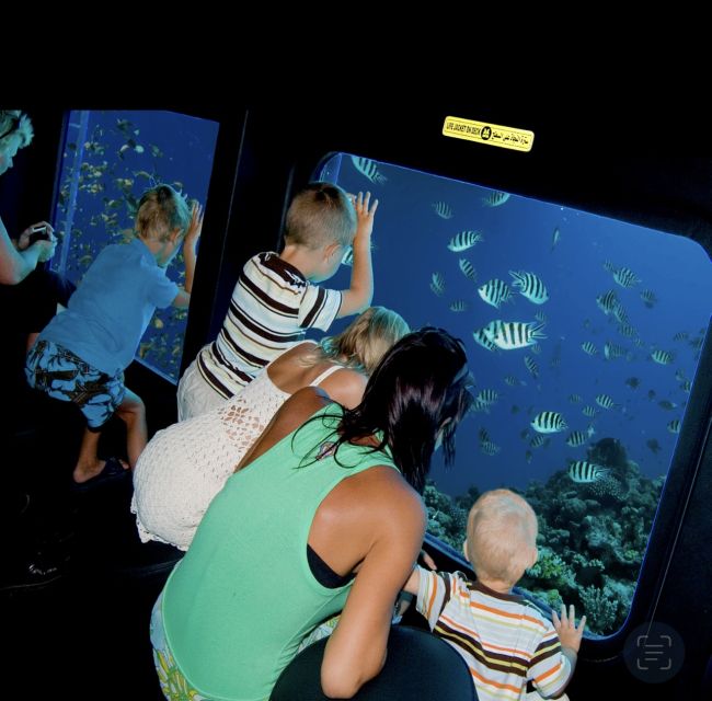 From El Gouna: Royal Seascope Submarine with Snorkel Stop - Coral, fish, and the question of dolphins