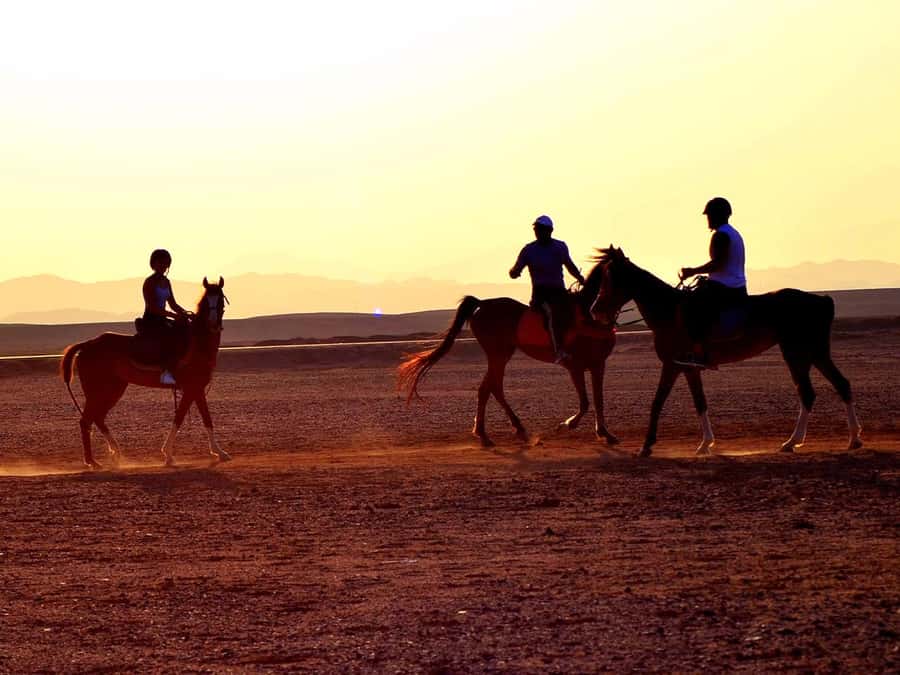 From Hurghada: Makadi Bay Horse Riding Tour - Key points to know before booking