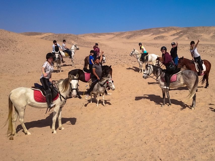 From Hurghada: Makadi Bay Horse Riding Tour - Price, transfers, and overall value