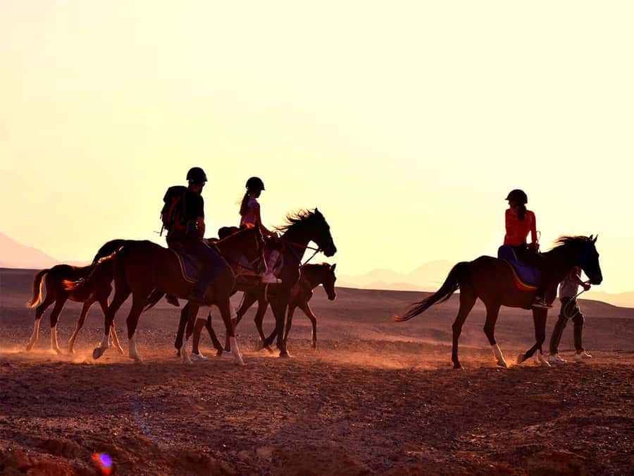 From Hurghada: Makadi Bay Horse Riding Tour - Safety checks, helmets, and choosing your horse