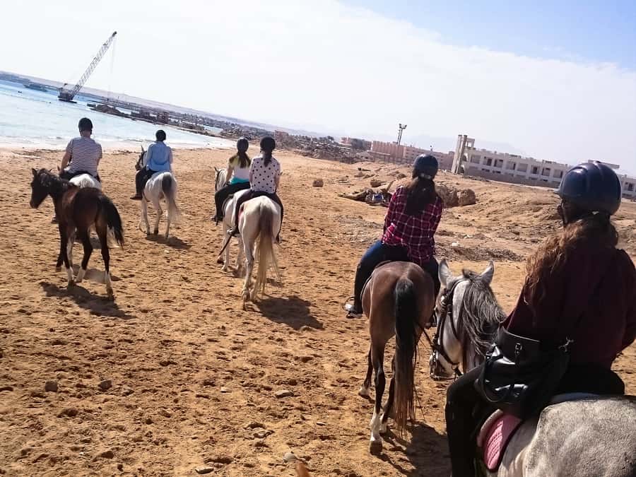 From Hurghada: Makadi Bay Horse Riding Tour - The two-hour desert and Red Sea route