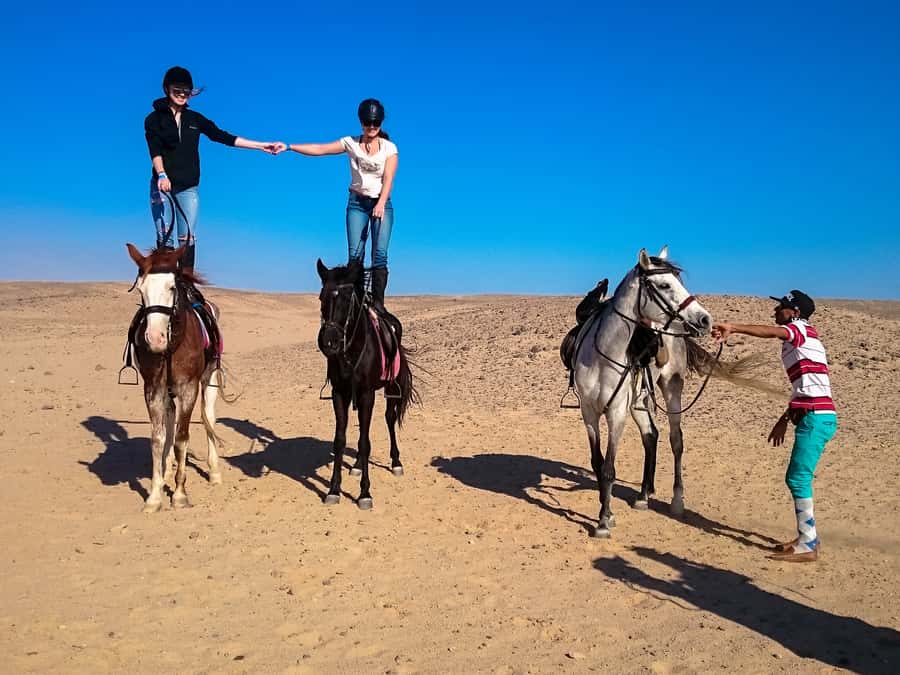 From Hurghada: Makadi Bay Horse Riding Tour - Picking the right time of day