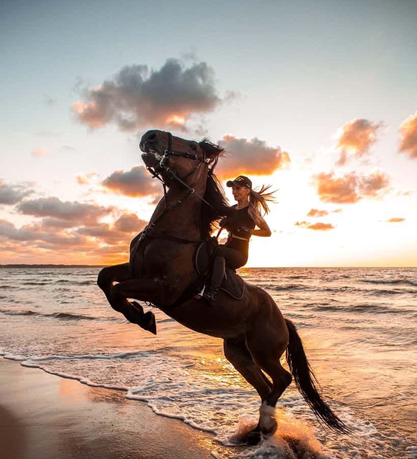 From Hurghada: Makadi Bay Horse Riding Tour - What the dinner, show, and stargazing option adds