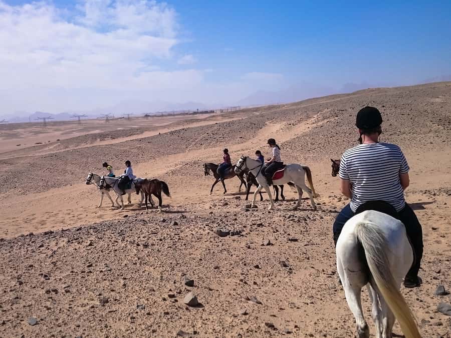 From Hurghada: Makadi Bay Horse Riding Tour - Quad biking and horse riding in one morning