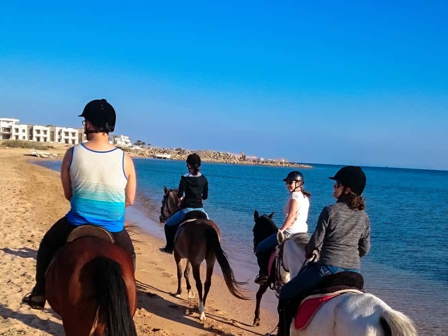 From Hurghada: Makadi Bay Horse Riding Tour - The four-hour VIP ride and Red Sea swim stop