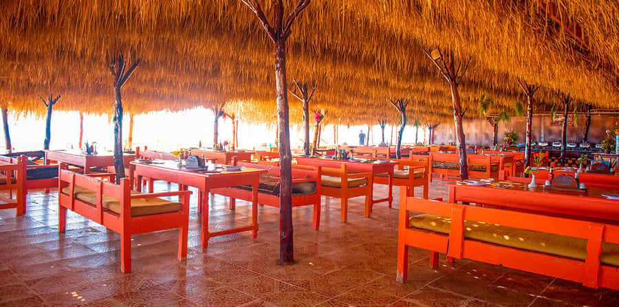 From Hurghada: Paradise Island Snorkeling Cruise with Lunch - The boat ride and first look at the Red Sea
