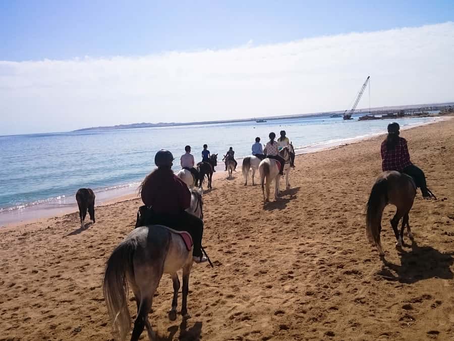 From Hurghada: Red Sea Sunrise and Desert Horseback Riding - Choosing the Right Start Time