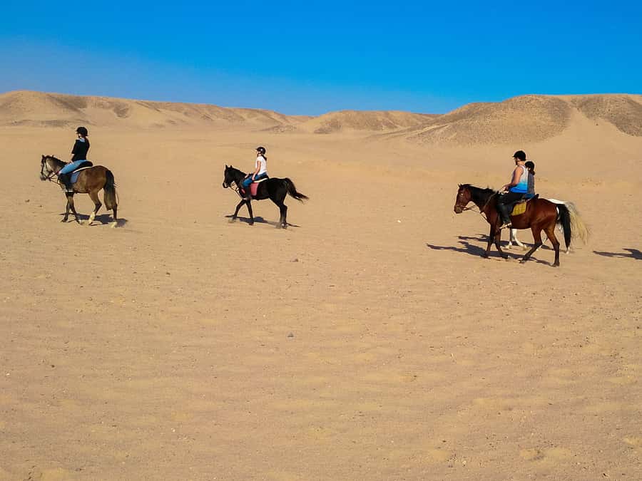 From Hurghada: Red Sea Sunrise and Desert Horseback Riding - The VIP Four-Hour Ride With a Swim Stop