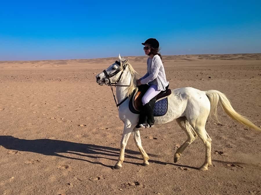 From Hurghada: Red Sea Sunrise and Desert Horseback Riding - Should You Book the Hurghada Horse Ride?