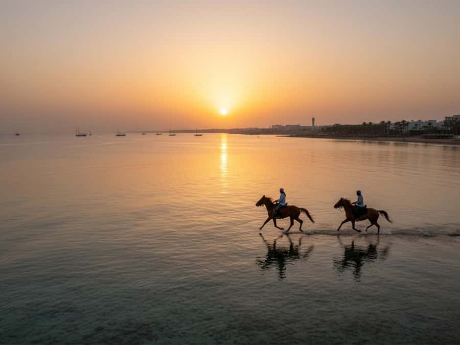 From Hurghada: Red Sea Sunrise and Desert Horseback Riding - Two Hours Through Sahl Hasheesh