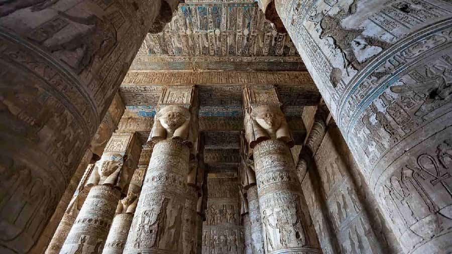 From Luxor: Abydos & Dendera Temples on a Private Day Tour. - Timing, comfort, and practical details
