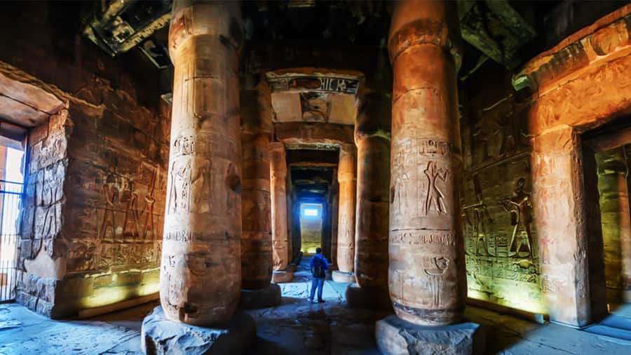 From Luxor: Abydos & Dendera Temples on a Private Day Tour. - Reading the reliefs inside Seti I’s temple