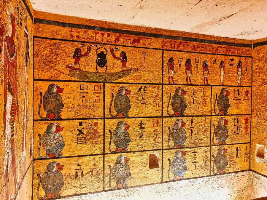 From Luxor: All-Inclusive West Bank Private Tour with Lunch - Valley of the Kings: choose your tombs carefully