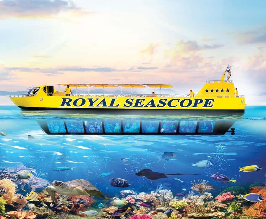 From Safaga: Royal Seascope Submarine with Snorkeling - Key points to know before booking