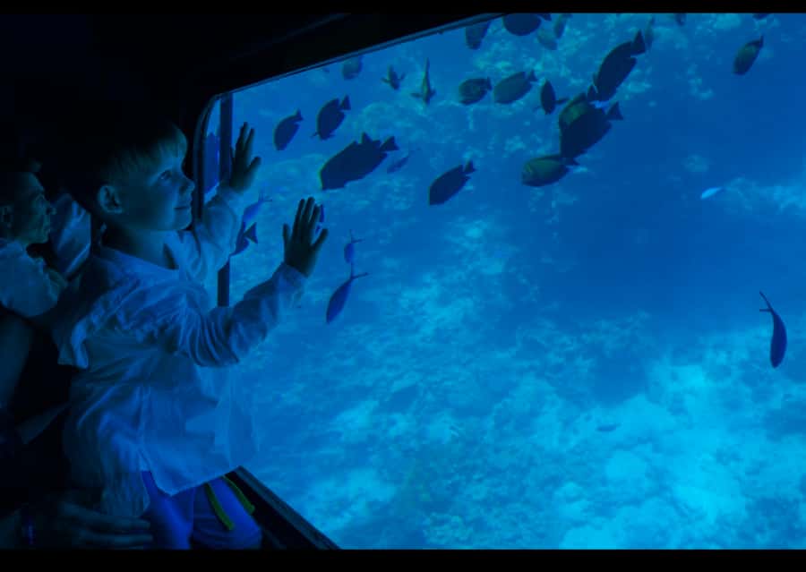 From Safaga: Royal Seascope Submarine with Snorkeling - The Royal Seascope glass cabin at four meters