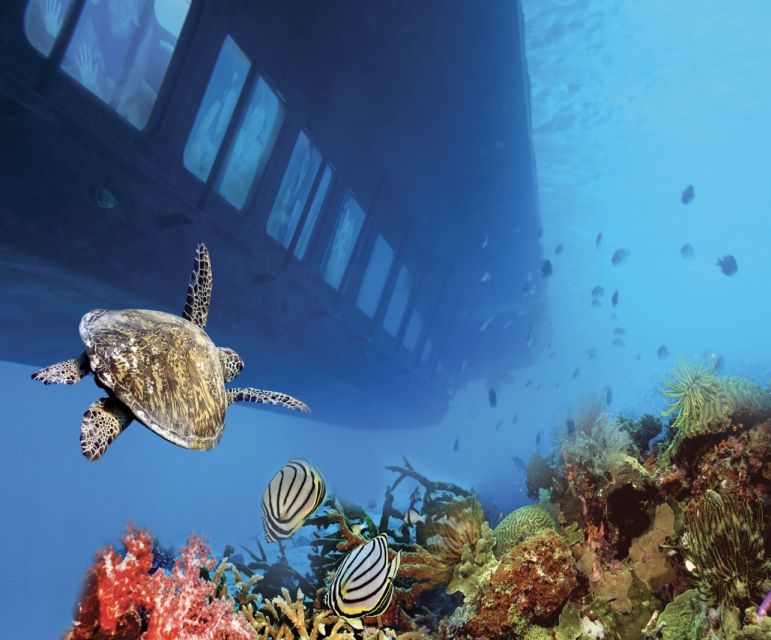 From Safaga: Royal Seascope Submarine with Snorkeling - Timing, meals, and the two daily departures