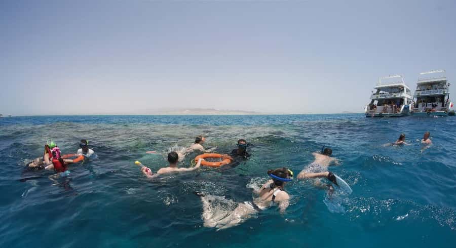From Sharm: Half day Snorkeling Trip with Lunch - Lunch aboard the boat