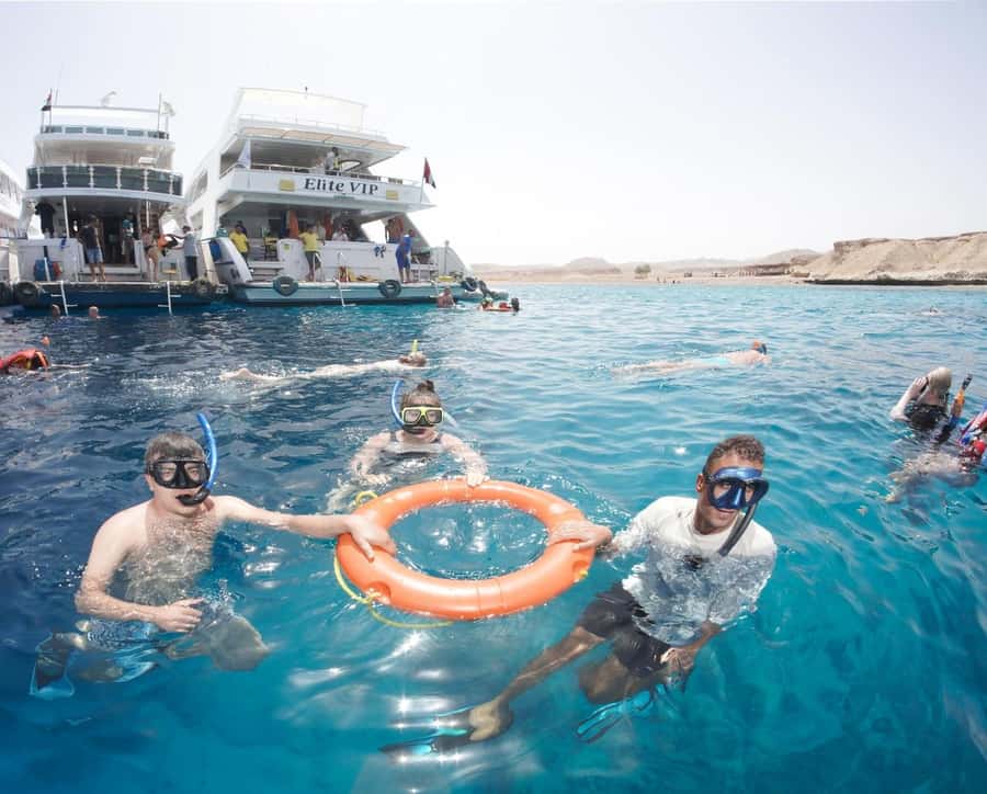 From Sharm: Half day Snorkeling Trip with Lunch - Who should book this trip?