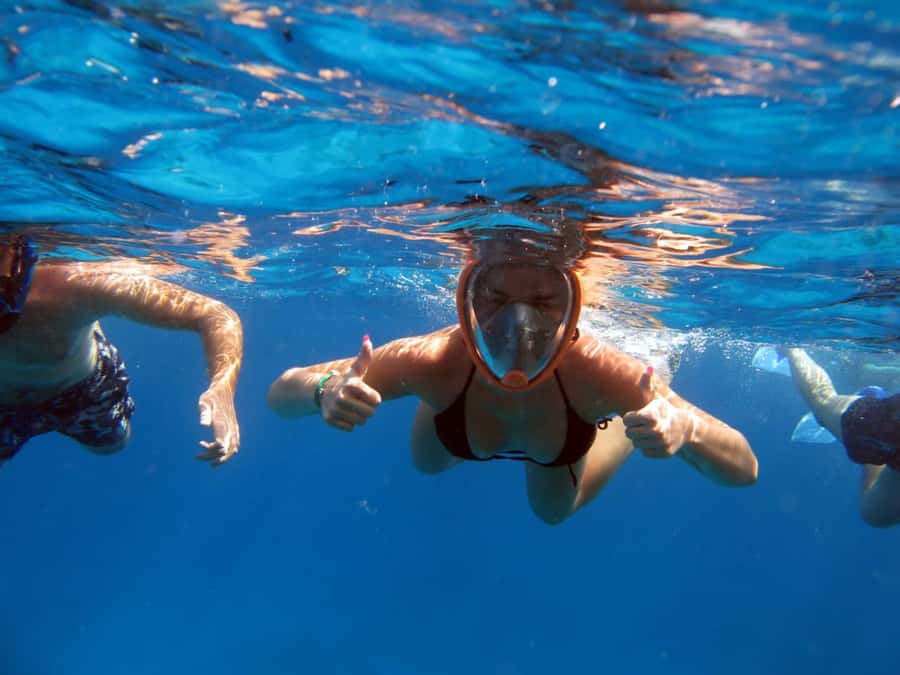 From Sharm: Half day Snorkeling Trip with Lunch - Getting to Watanya Marina