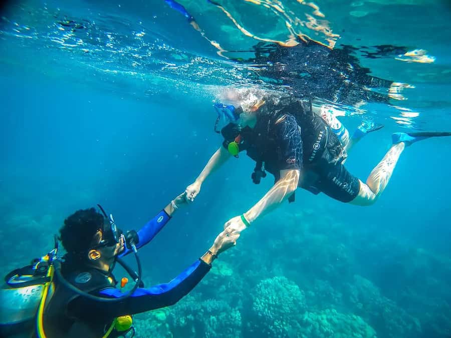 From Sharm: Luxury Diving cruise to Ras Mohammed with Lunch - Why Ras Mohammed makes this six-hour trip worthwhile