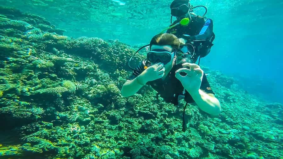 From Sharm: Luxury Diving cruise to Ras Mohammed with Lunch - The 90-minute break between water stops