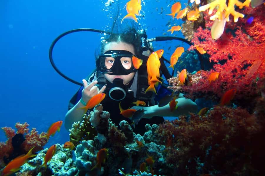 From Sharm: Ras Mohammed snorkeling cruise & optional diving - Should you book it?