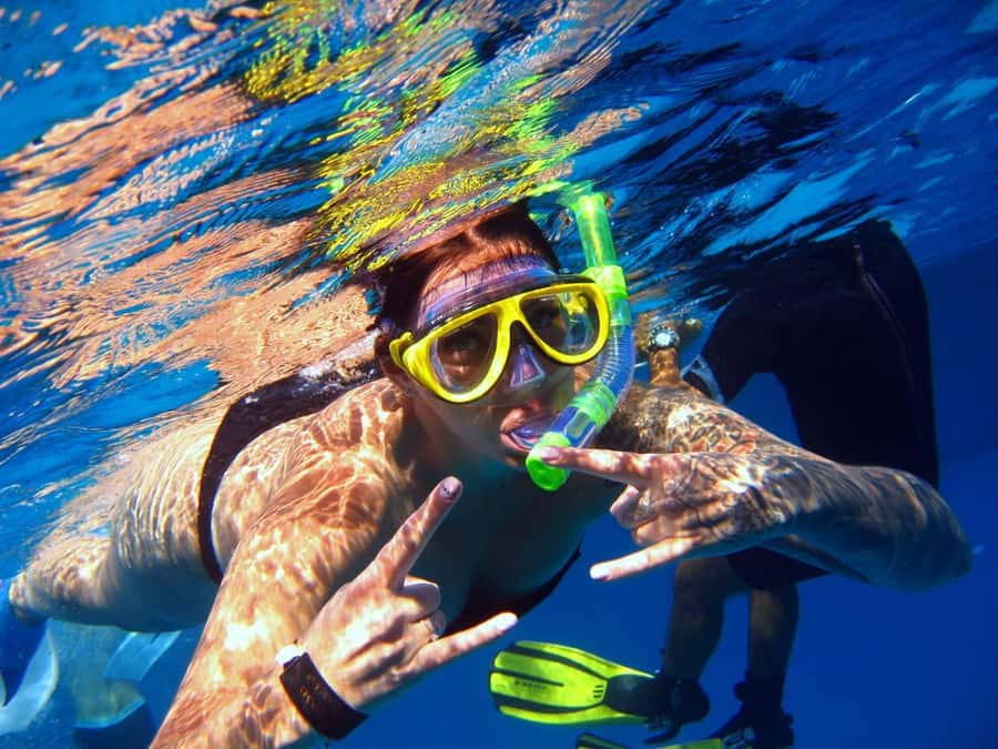 From Sharm: Ras Mohammed snorkeling cruise & optional diving - A second look at the Red Sea by boat