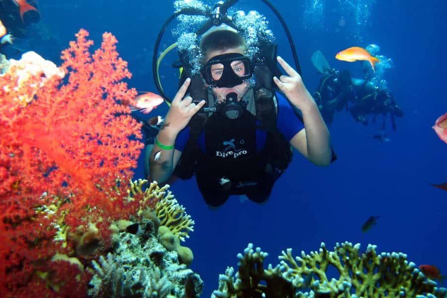 From Sharm: Ras Mohammed snorkeling cruise & optional diving - White Island and the tide question
