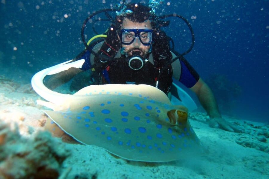 From Sharm: Ras Mohammed snorkeling cruise & optional diving - Lunch on the yacht